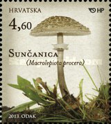 [Mushrooms, type ALH]