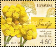 [Croatian Flora, type AQC]