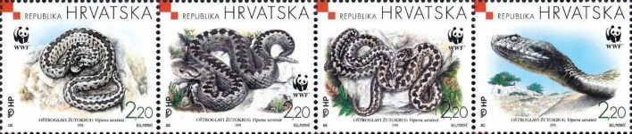 [Croatian Fauna - The Meadow Viper, type ]