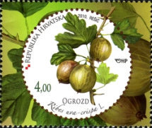 [Fruits, type AFR]