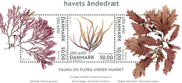 [EUROPA Stamps - Underwater Flora and Fauna, type ]