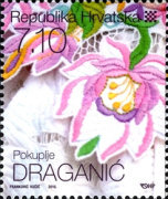 [Flowers, type AFO]