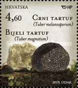 [Mushrooms, type ALJ]