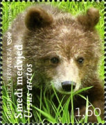 [Local Fauna - Brown Bear and Falcon, type AGU]